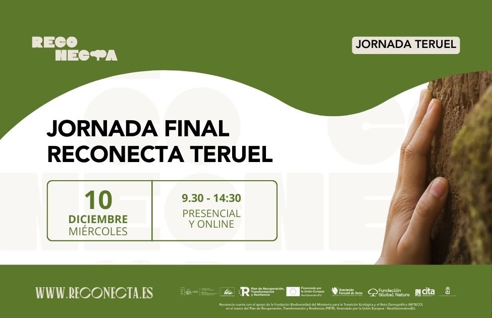 Jornada final Reconecta Teruel